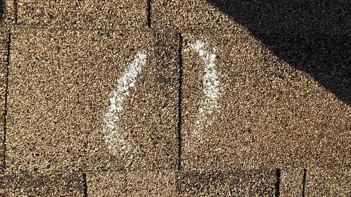 Chalk marks documenting hail impacts on asphalt shingles